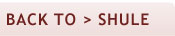 BACK-TO-SHULE.jpg